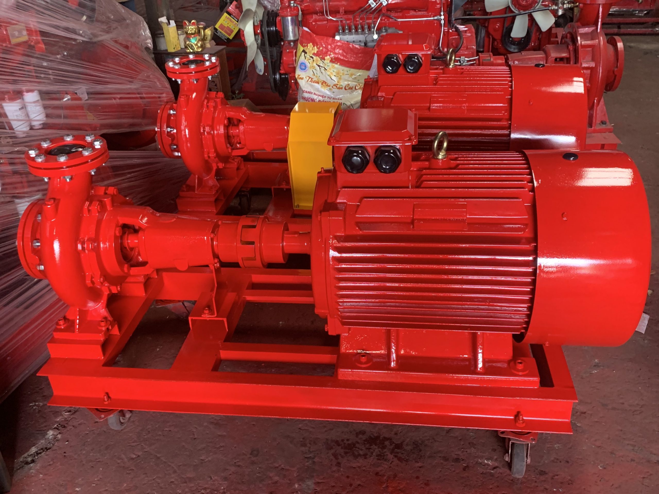 z4929427290528_0e99b41e800496a1c6016eae1ee688d4